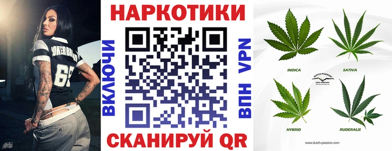 Где продают наркотики Жуков ГАШИШ  МАРИХУАНА  СОЛЬ  Галлюциногенные грибы  КОКАИН  Меф 