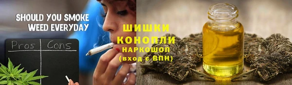 мдпв Магас