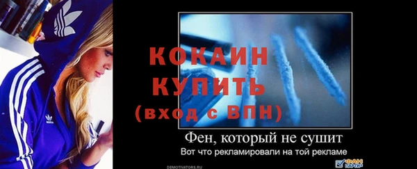 мдпв Магас