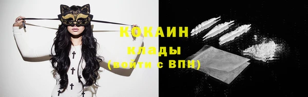 мдпв Магас