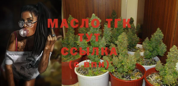 мдпв Магас